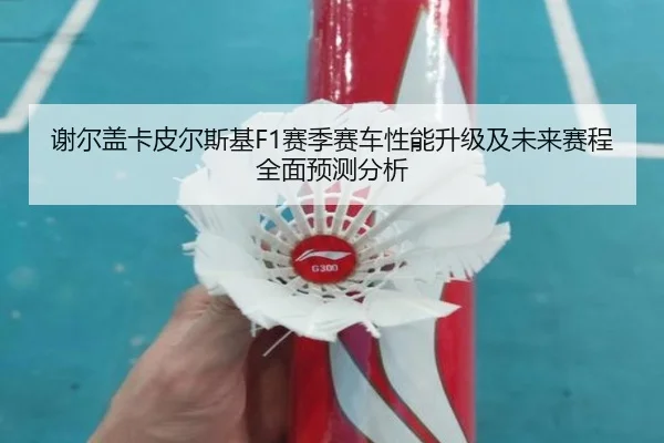 谢尔盖卡皮尔斯基F1赛季赛车性能升级及未来赛程全面预测分析